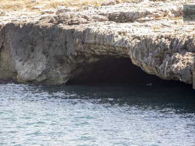 Anche qui l�alta scogliera cela meravigliose grotte. La prima � quella �dei Passeri�, dalla bocca d�entrata molto bassa e stretta